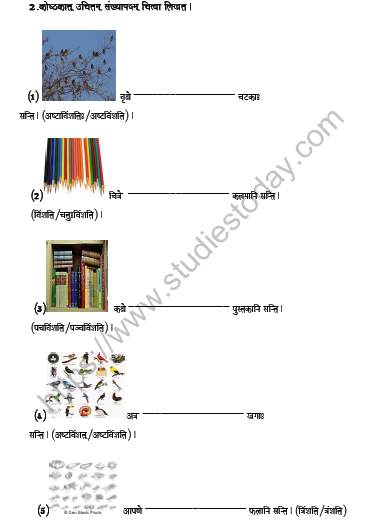 Numbers Class 6 Sanskrit Practice Worksheets PDF